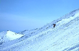 IMG244.jpg