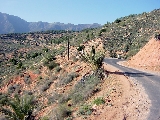 DSC00666.jpg